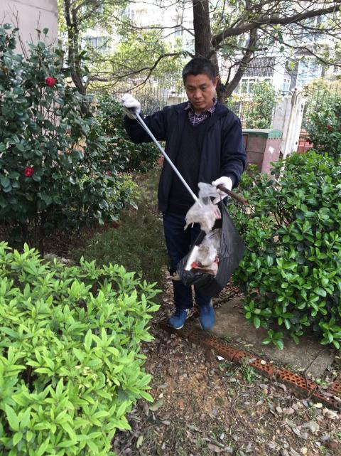 控制鼠害、预防疾。。，，，，构建协调文明社区